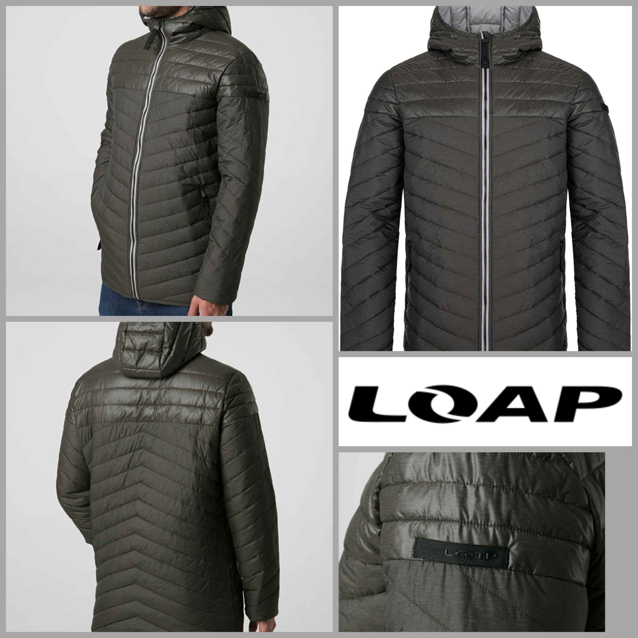 Herren Steppjacke von LOAP